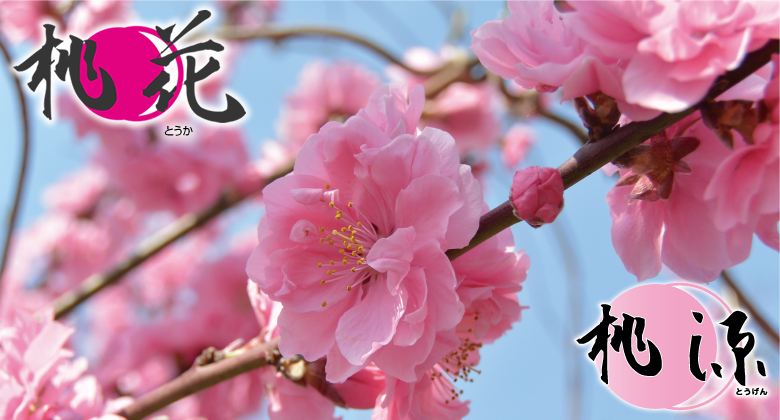 有限会社 協栄会